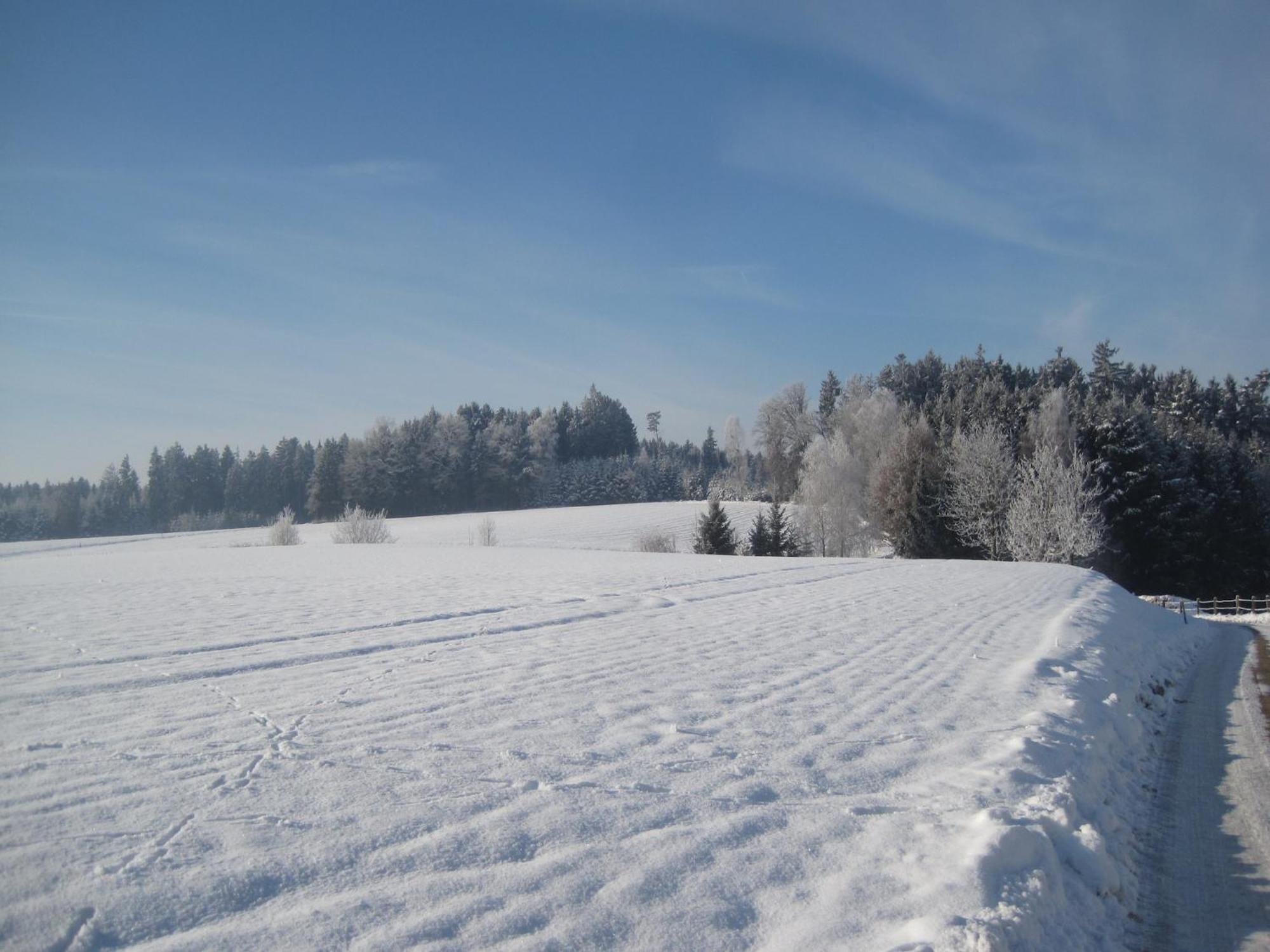 Comfortable Apartments In Rotthalm Nster Rotthalmuenster المظهر الخارجي الصورة