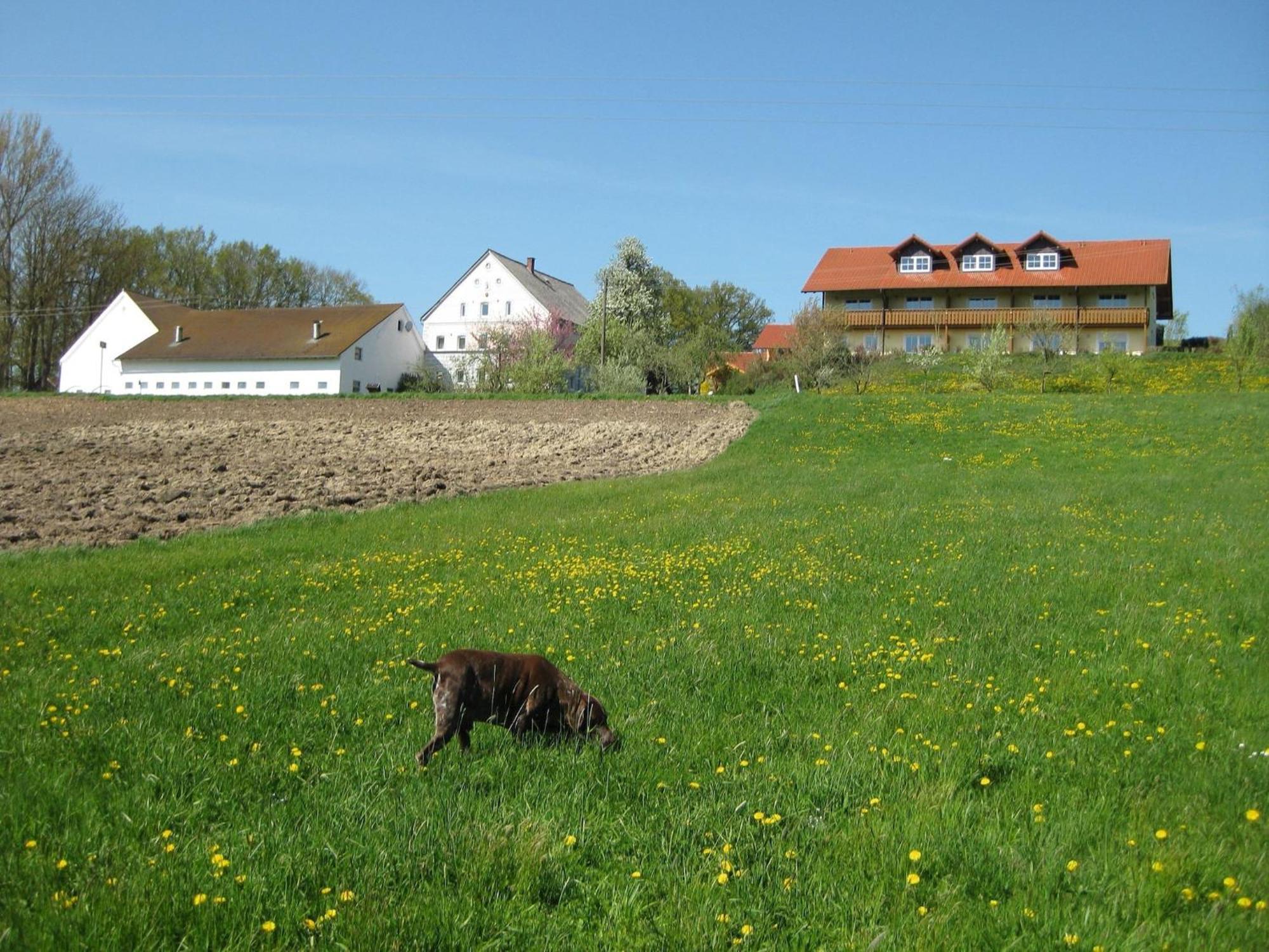 Comfortable Apartments In Rotthalm Nster Rotthalmuenster المظهر الخارجي الصورة