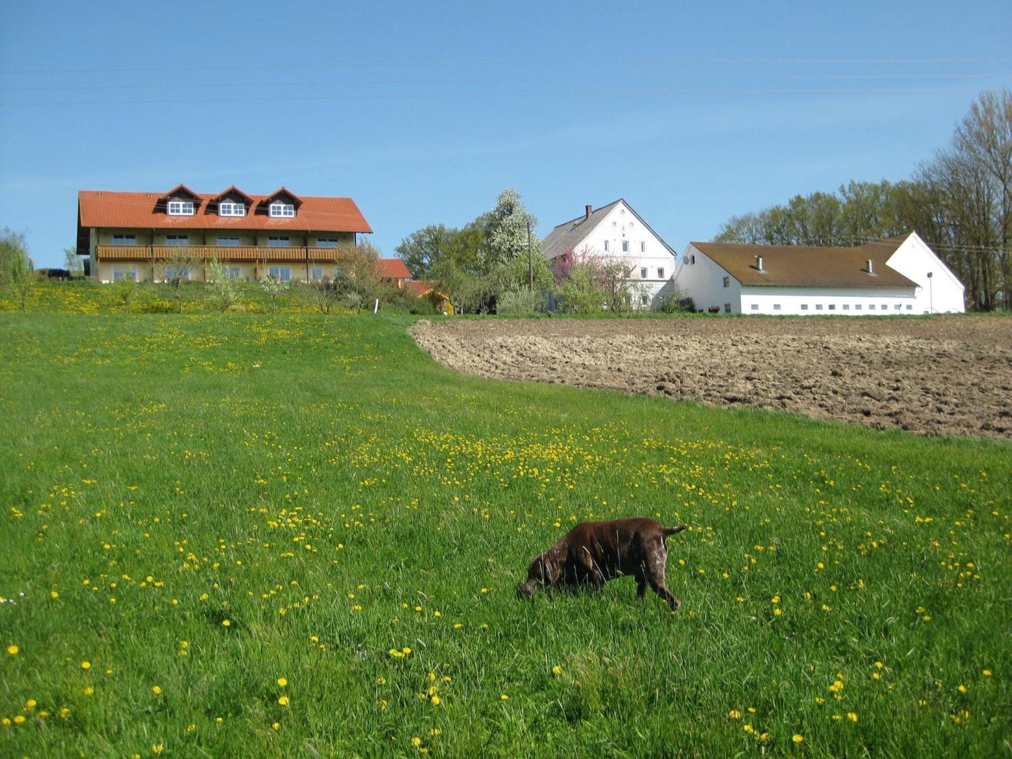 Comfortable Apartments In Rotthalm Nster Rotthalmuenster المظهر الخارجي الصورة